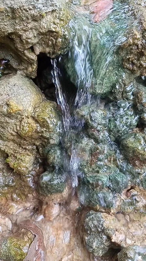 Clear water flowing in a small river Stock Footage 244086944
