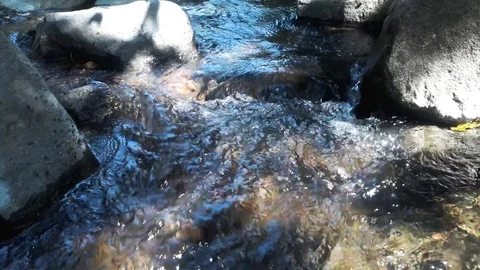 Clear water flowing at stream Stock Footage 128227277