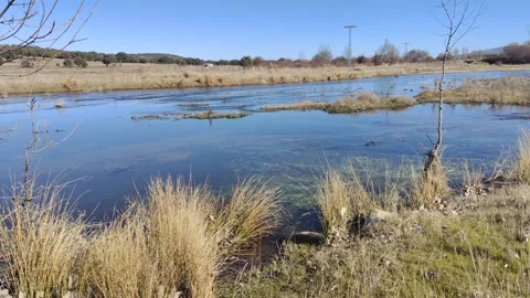 Clear water flowing through a grassy riverbank Stock Footage 340326330