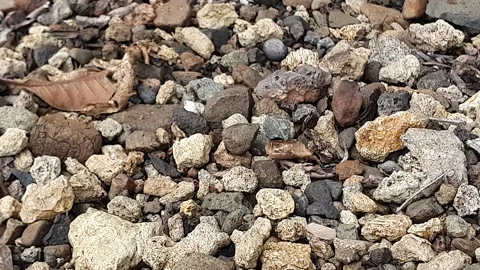 Clear water flowing through the rocks 库存影片 300778426