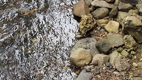 Clear water flowing through the rocks Stock Footage 300778563