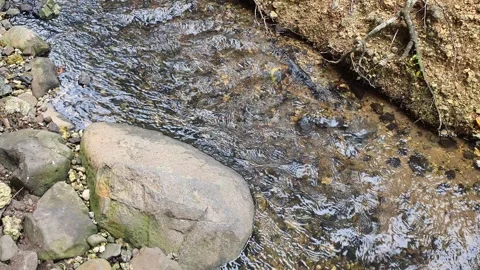 Clear water flowing through the rocks Stock Footage 300783774