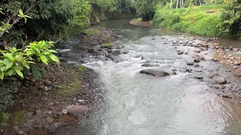 Clear water flowing in the valley Stock Footage 296523612