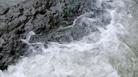 Clear water flows along the rocks Stock Footage 266764784