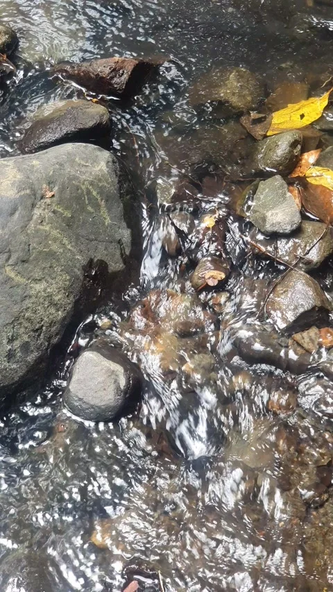 Clear water flows between river rocks Stock Footage 299015614