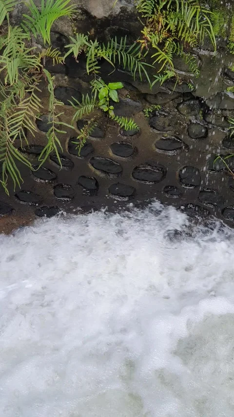 Clear water flows down the village Stock Footage 302848905