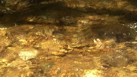 Clear water flows fast into the strean Stock Footage 137781673