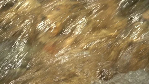 Clear water flows fast into the strean Stock Footage 137783531