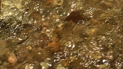 Clear water flows fast into the strean Stock Footage 137784970