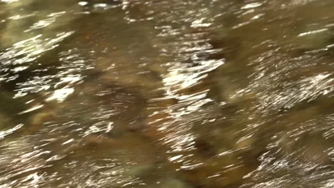 Clear water flows fast into the strean Stock Footage 137785972