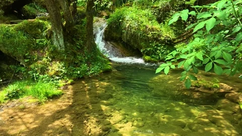 Clear water flows gently over mossy stones. Gostilje Waterfall, Serbia. Stock Footage 337060414