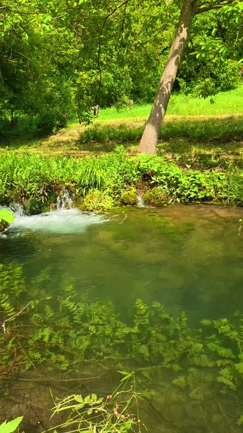 Clear water flows gently over mossy stones. Vrmdza Lake, Serbia. Vertical Stock Footage 338030255