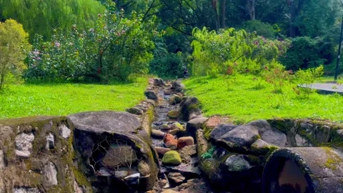 Clear water flows gently through nature, winding over rocks and moss Stock Footage 302446264
