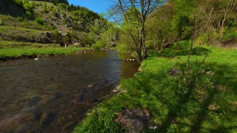Clear water flows gently through a forested valley. Balkan, Eastern Europe, POV Video stock 333590302