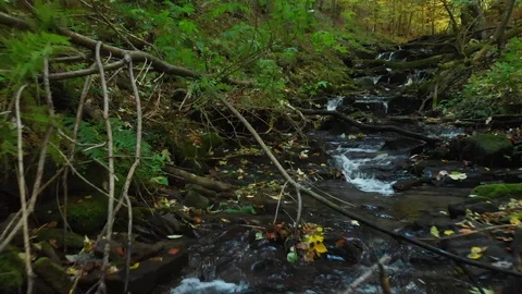 Clear Water Flows in a Mountain Stream in the Fall. Carpathian Mountains Stock Footage 104744203
