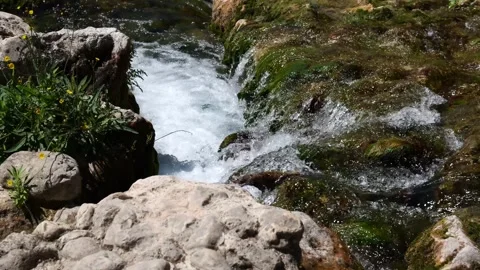 Clear water flows in a mountain stream Stock Footage 305031811