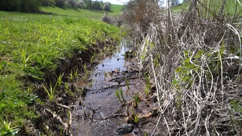 Clear water flows to a narrow brook in the landscape Stock Footage 164608661