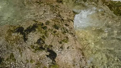 Clear water flows over mossy rocks in summer (slow motion) Video stock 219637900