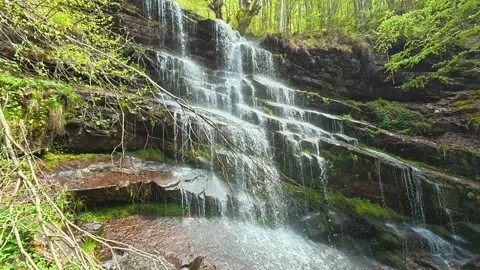 Clear water flows over mossy stones in a forest. Tupavica Waterfall, Serbia Stock-Footage 335533103