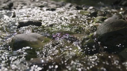 Clear water flows over river rocks Видео 76557036