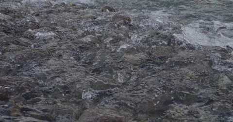 Clear water flows over river rocks Video stock 259863367