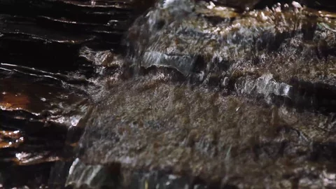Clear water flows over rock in a forest stream Video stock 121551186