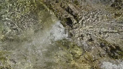 Clear water flows over a rock into a small pool (slow motion) 스톡 동영상 219638402