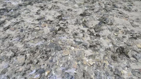 Clear water flows over a shallow riverbed covered with dark stones Stock Footage 336435724
