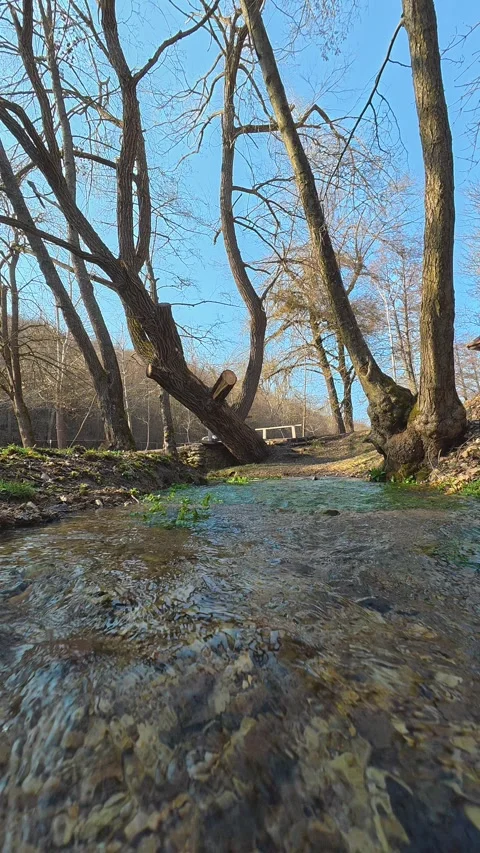 Clear water flows over smooth stones. Balkan, Eastern Europe, POV Stock Footage 333634664