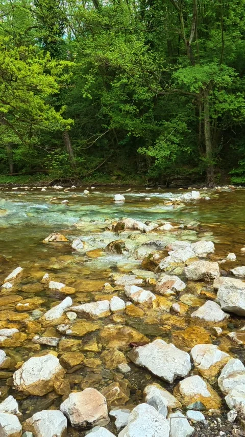 Clear water flows over smooth stones. Gradac River, Serbia. Vertical Vidéo 334680682
