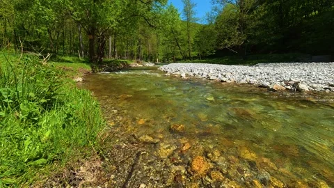 Clear water flows over smooth stones. Gradac River, Serbia Vídeos de archivo 335075590