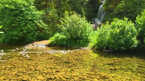 Clear water flows over smooth, golden stones. Gostilje Waterfall, Serbia. Stock Footage 337061026