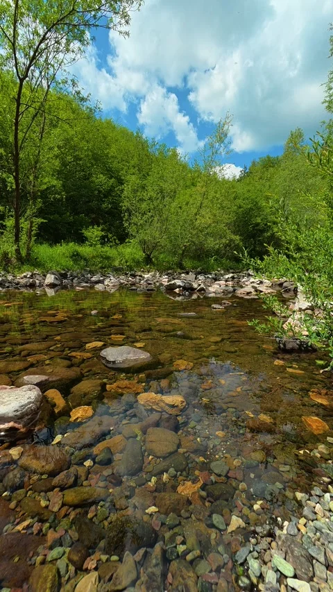 Clear water flows over smooth stones. Gostilje, Serbia. Vertical Vídeo Stock 337061829