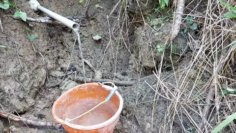Clear Water Flows from Pipe to Bucket (Aqua Ruris), Rural Source 4K Stock Footage 239919891