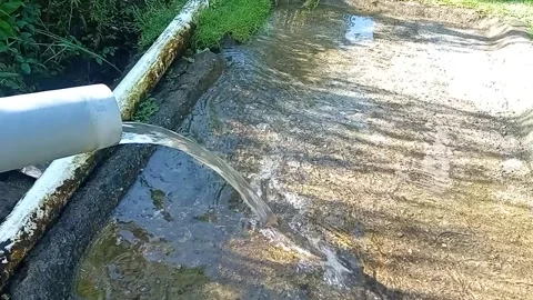 Clear water flows from pipe into natural outdoor channel. Stock Footage 313660240
