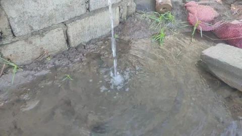 Clear water flows profusely from the irrigation pipes of the fields, Stock Footage 249393427