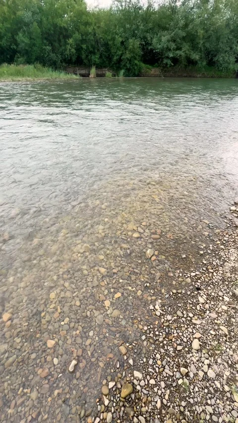 Clear water flows rapidly over the pebble rocks of a mountain river. Stock Footage 339092675