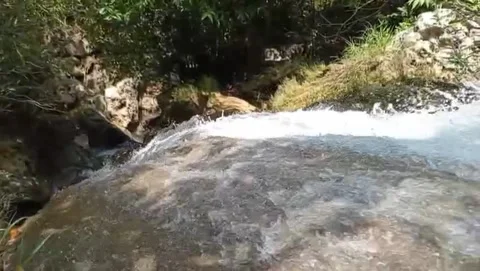 Clear water flows swiftly down the rocks. Stock-Footage 332158664