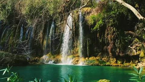Clear water flows through a mini waterfall in green nature Stock Footage 226695565