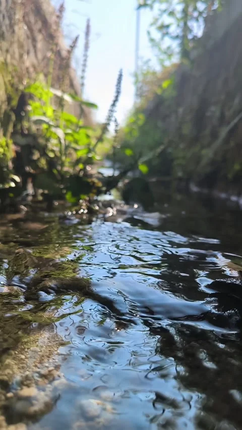 Clear water flows through narrow ditch. Stock Footage 337566609