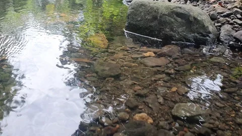 Clear water flows through river rocks Stock Footage 311867367