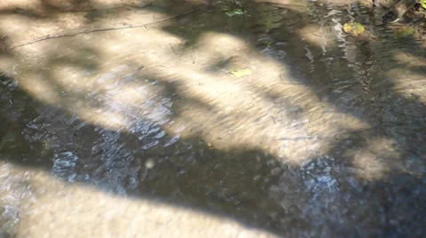 Clear water Stock-Footage 29678645