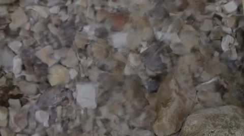 Clear water Stock Footage 47831319