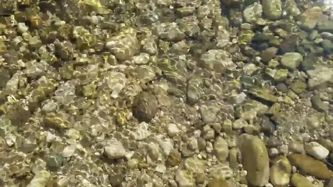 Clear Water Stock Footage 77923548