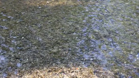 Clear water Stock Footage 78128324