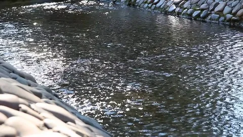Clear water Stock Footage 78128608