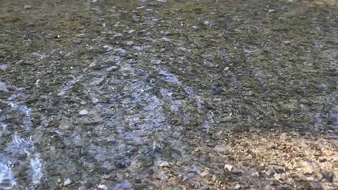 Clear water Stock Footage 78128609