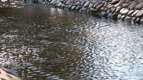 Clear water Vidéo 78128613