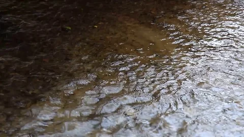 Clear water Stock Footage 78131852