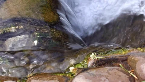 Clear water Stock Footage 78149194